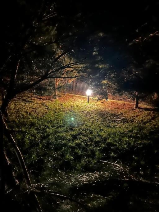 Dom Male Mazury Βίλα Drozdowo Εξωτερικό φωτογραφία